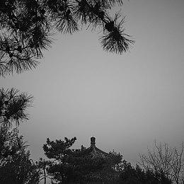 《使命召唤：现代战争3》B测细节公布 首周末PS平台独占